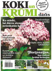 Mans Dārzs Spec.1{IMAGE}