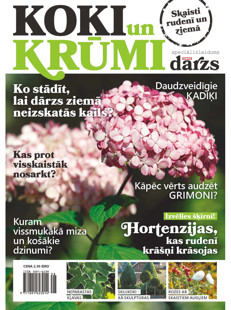 Mans Dārzs Spec.1{IMAGE}