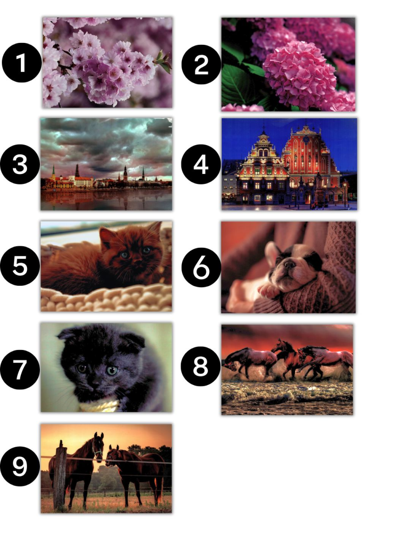 Kal. Sienas kalendārs 3daļīgs IBC1{IMAGE}