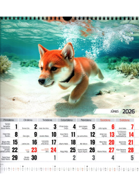 Kal. A3 Suņu zemūdens piedzīvojumi PL2{IMAGE}