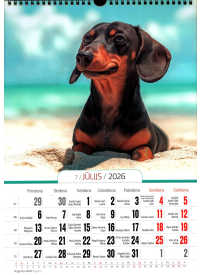 Kal. A3 Suņi PL2{IMAGE}