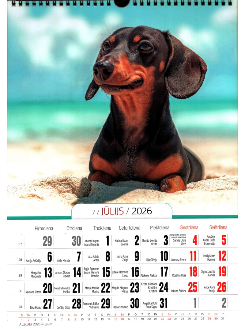 Kal. A3 Suņi PL1{IMAGE}