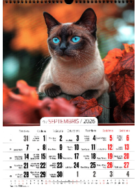 Kal. A3 Kaķi PL2{IMAGE}