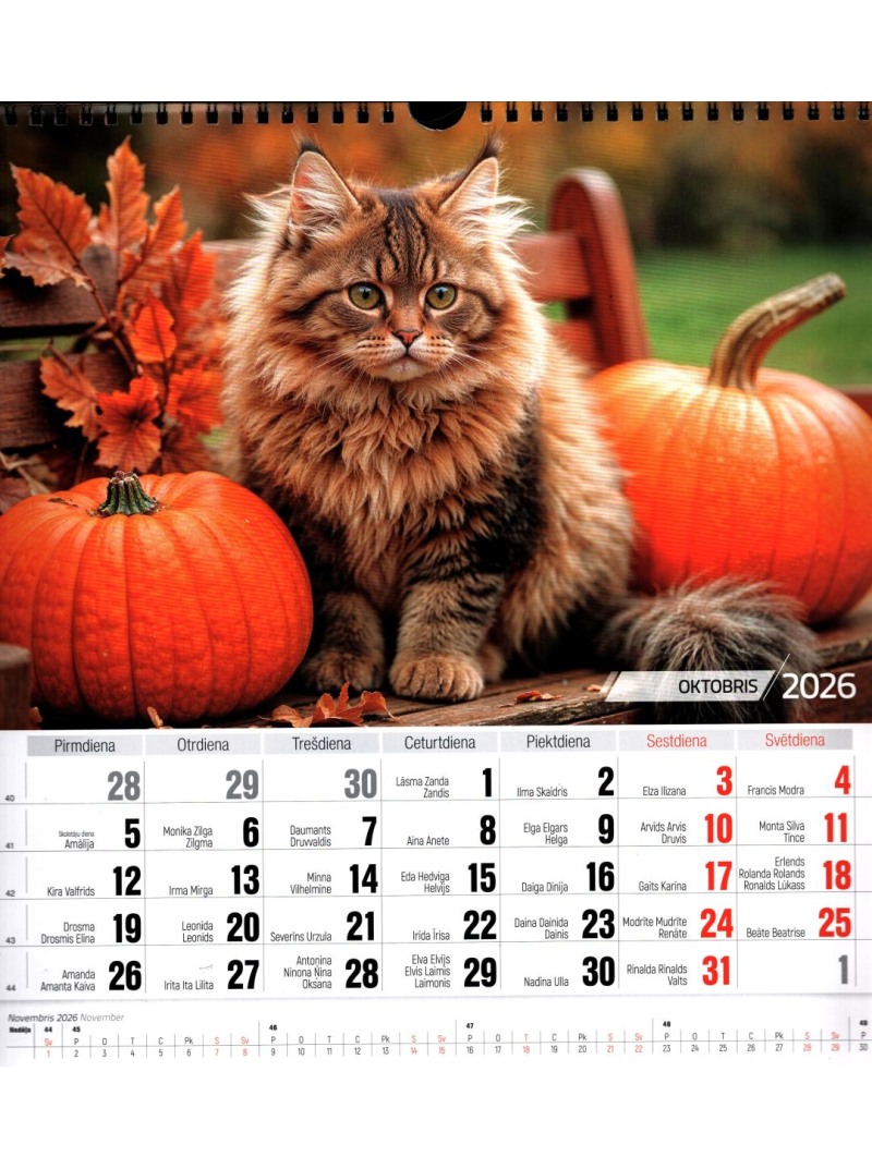 Kal. A3 Kaķi (kvadrāts) PL1{IMAGE}