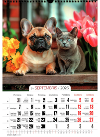 Kal. A3 Kaķēni un kucēni PL2{IMAGE}