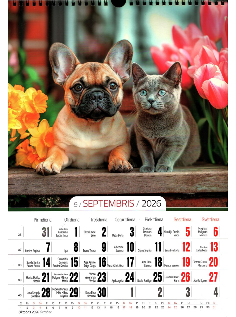 Kal. A3 Kaķēni un kucēni PL1{IMAGE}