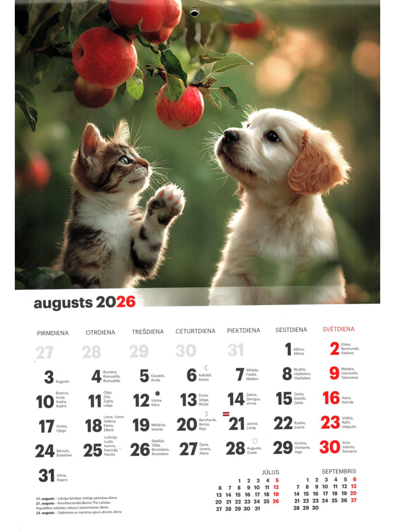 Kal. A4 Draugi LM1{IMAGE}