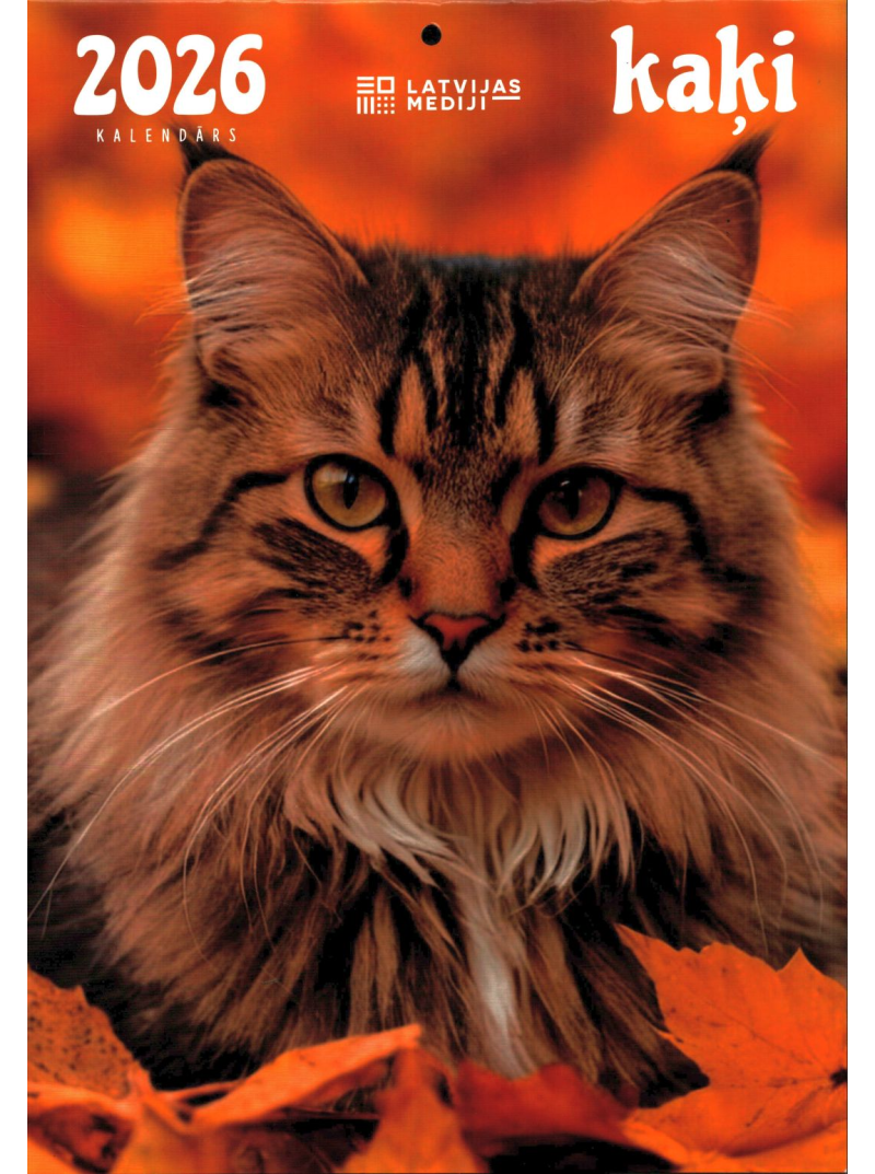 Kal. A4 Kaķi LM1{IMAGE}