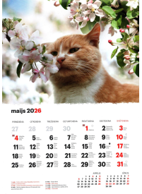 Kal. A4 Kaķi LM2{IMAGE}