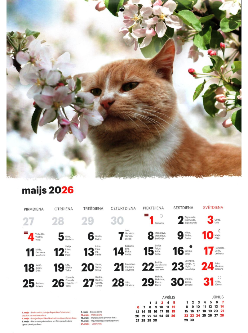 Kal. A4 Kaķi LM1{IMAGE}