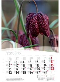 Kal. A4 Ziedi BVF2{IMAGE}