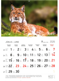 Kal. A4 Dzīvnieki LT1{IMAGE}