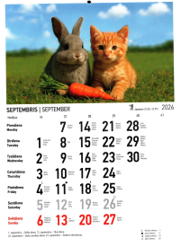 Kal. A4 Draugi LT1{IMAGE}