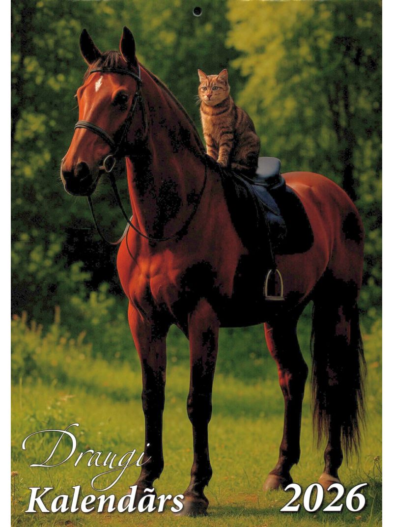 Kal. A4 Draugi LT2{IMAGE}