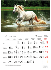 Kal. A4 Zirgi LT2{IMAGE}