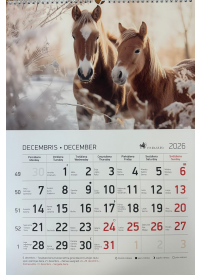 Kal. A3 Zirgi LT2{IMAGE}