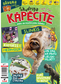 Skudriņa Kāpēcīte1{IMAGE}