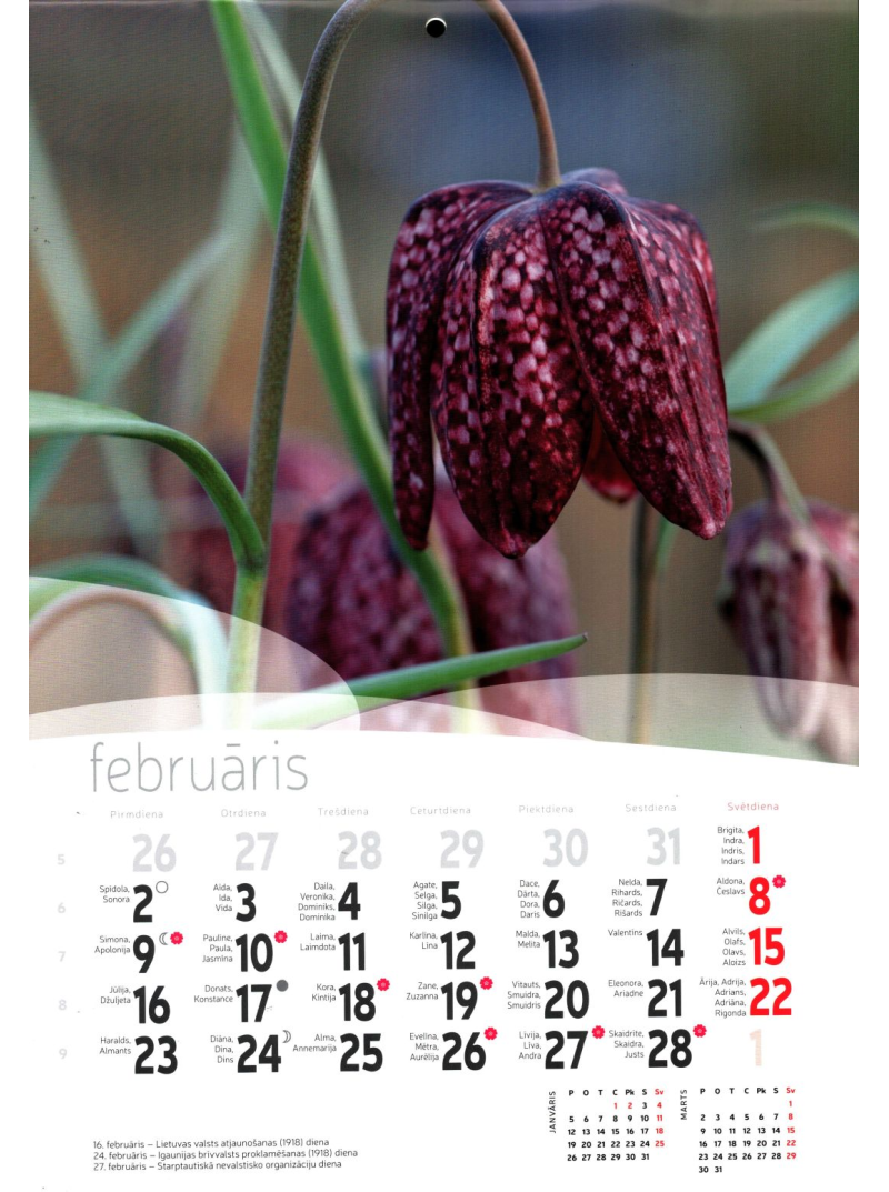 Kal. A4 Ziedi LM2{IMAGE}