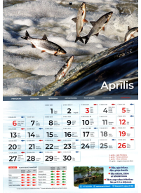 Kal. A4 Makšķernieku LM2{IMAGE}