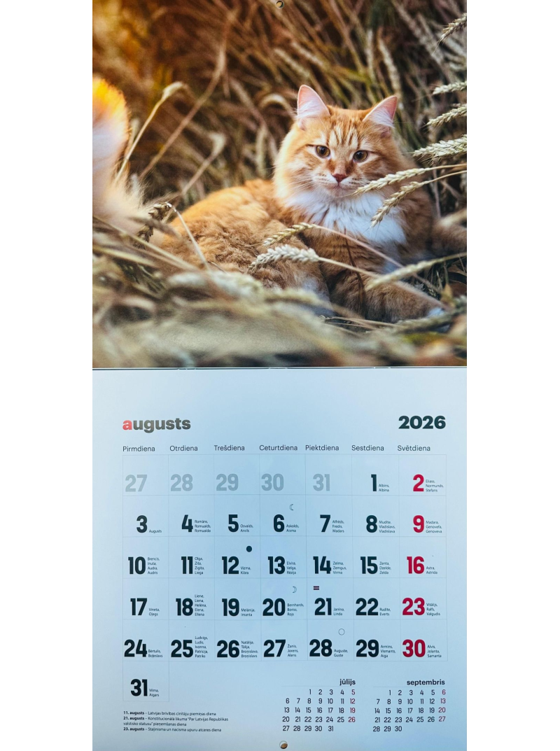 Kal. A3 Kaķi LM1{IMAGE}