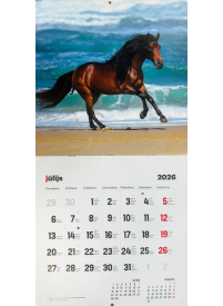 Kal. A3 Zirgi LM2{IMAGE}