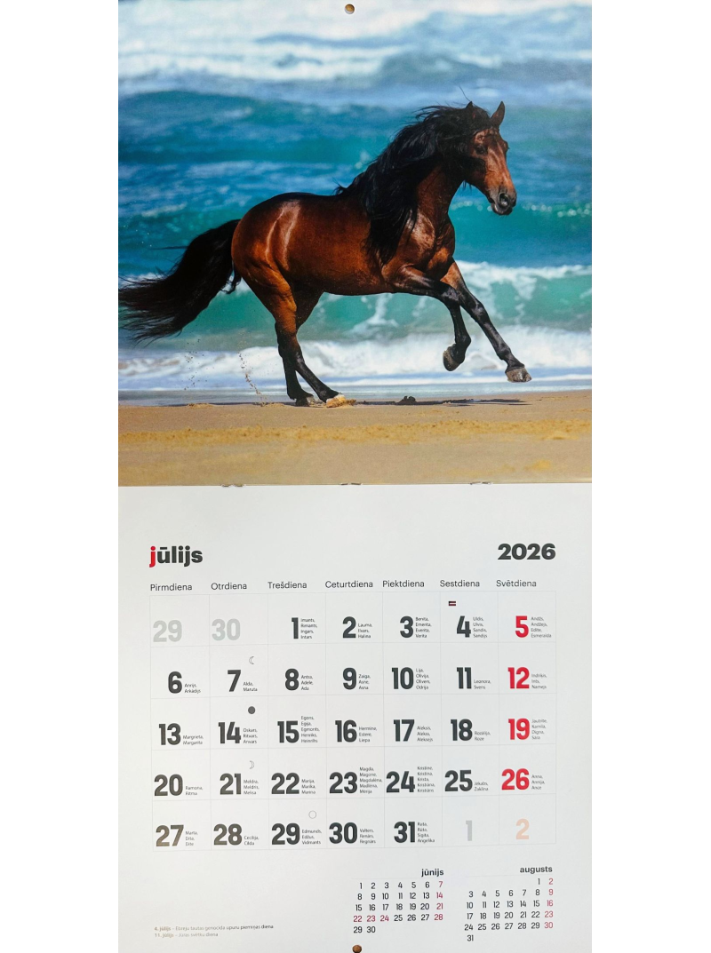 Kal. A3 Zirgi LM1{IMAGE}