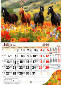 Kal. A5 Zirgi.Mikot2{IMAGE}