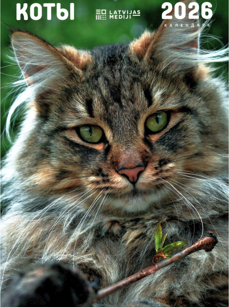 Kal. A4 (mazais) Kaķi LM  krievu val1{IMAGE}