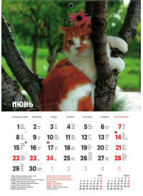 Kal. A4 (mazais) Kaķi LM  krievu val2{IMAGE}