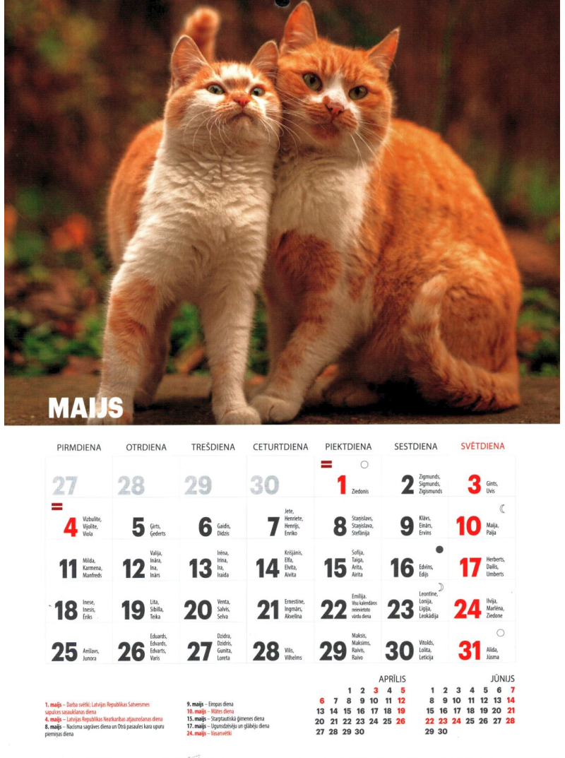 Kal. A4 (mazais) Kaķi LM1{IMAGE}