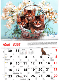 Kal. A4 Kaķi Kuma2{IMAGE}