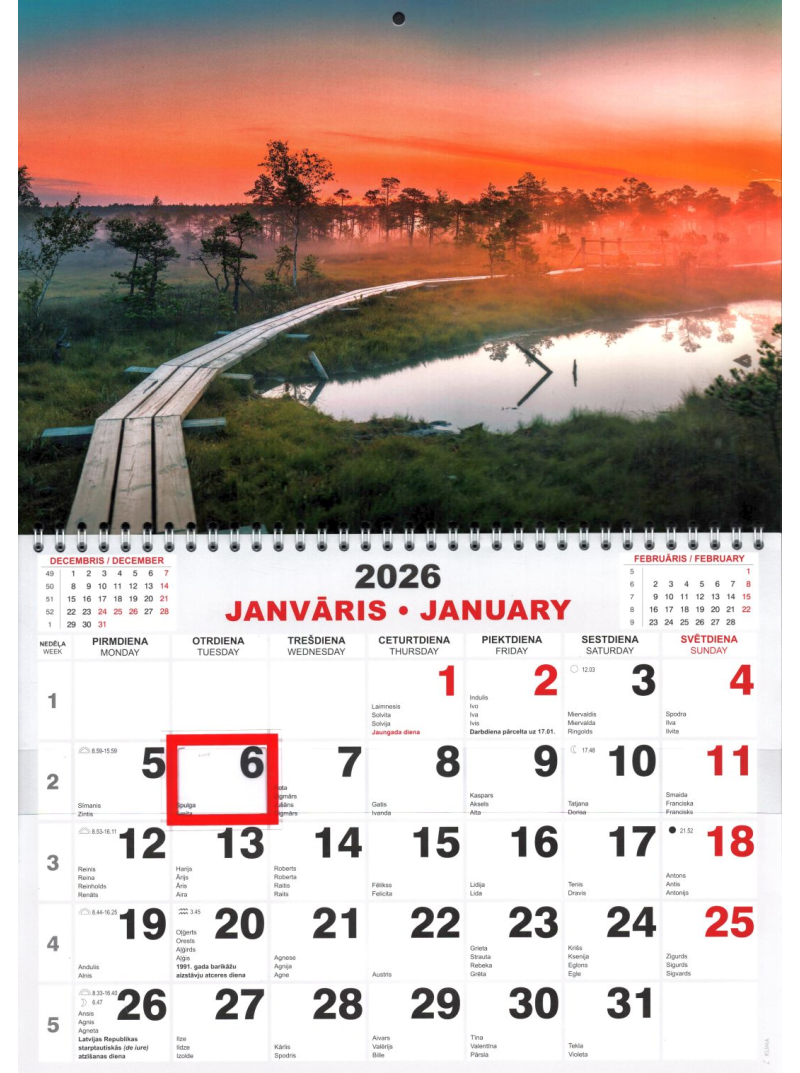 Kal. A4 Mono Kuma1{IMAGE}