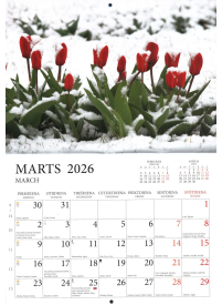 Kal. A4 Valdzinošās dabas krāsas. Felistella2{IMAGE}