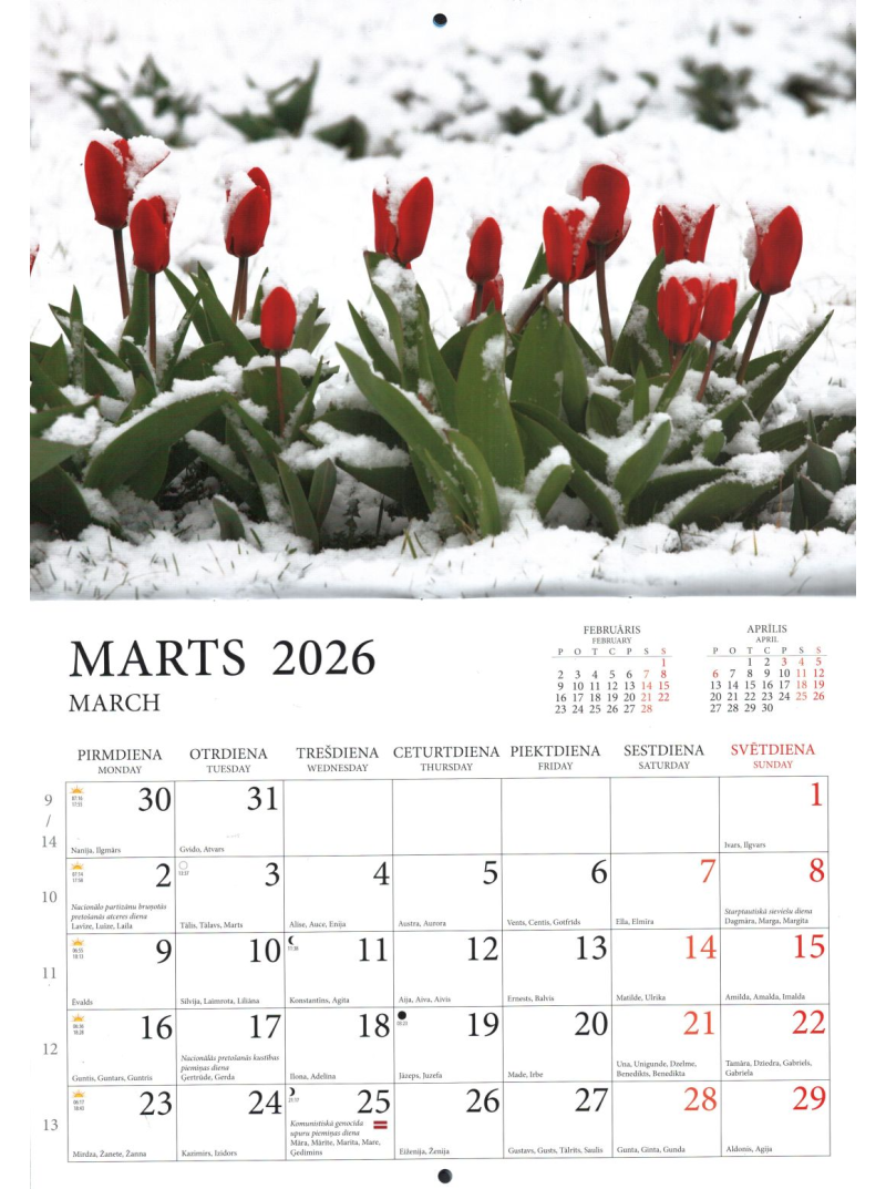 Kal. A4 Valdzinošās dabas krāsas. Felistella1{IMAGE}