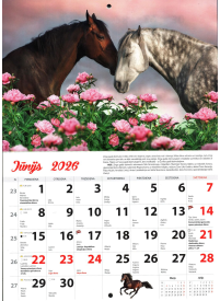 Kal. A4 Zirga gads Kuma2{IMAGE}