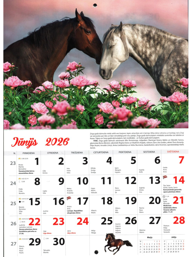 Kal. A4 Zirga gads Kuma1{IMAGE}
