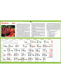 Kal. B4 Dārza Kuma2{IMAGE}