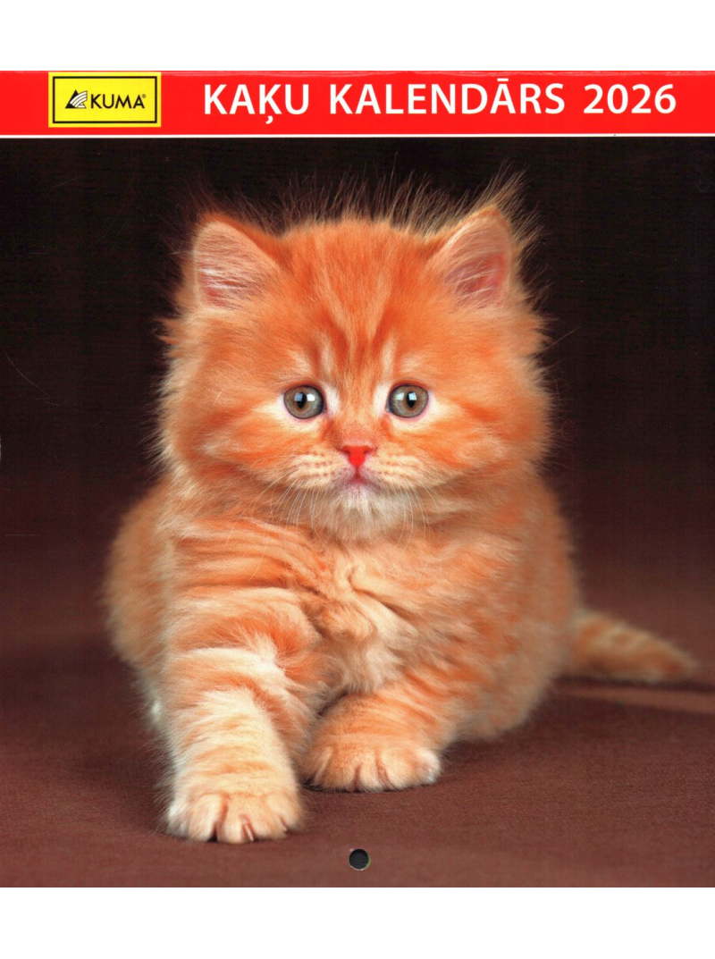 Kal. B5 Kaķi Kuma1{IMAGE}