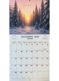 Kal. A3 Miers. Felistella2{IMAGE}