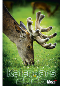 Kal. A3 Meža Avīze1{IMAGE}