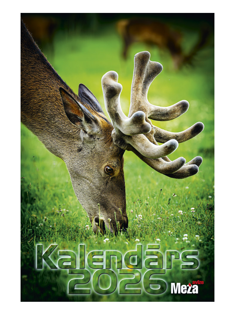 Kal. A3 Meža Avīze1{IMAGE}