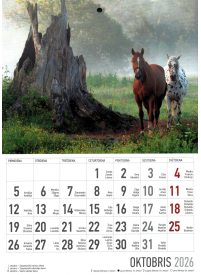 Kal. A4 Zirgi2{IMAGE}