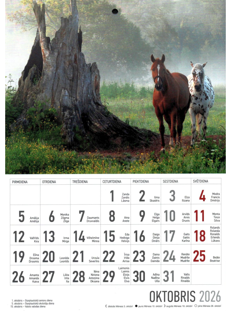 Kal. A4 Zirgi1{IMAGE}