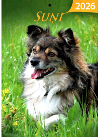 Kal. A4 Suņi1{IMAGE}