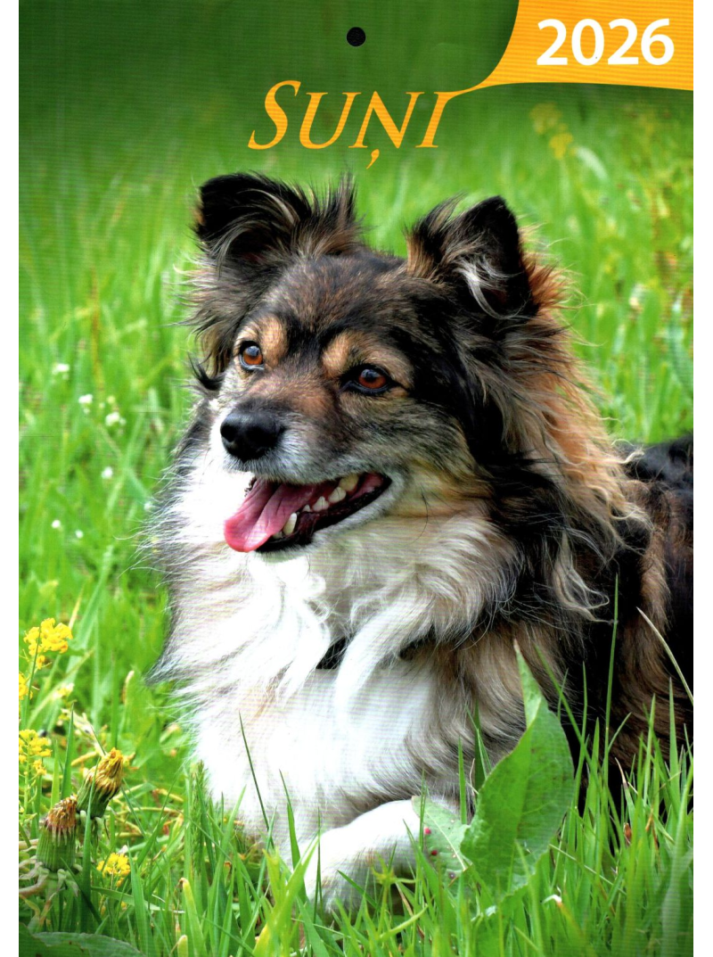 Kal. A4 Suņi1{IMAGE}