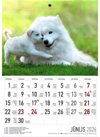 Kal. A4 Suņi2{IMAGE}