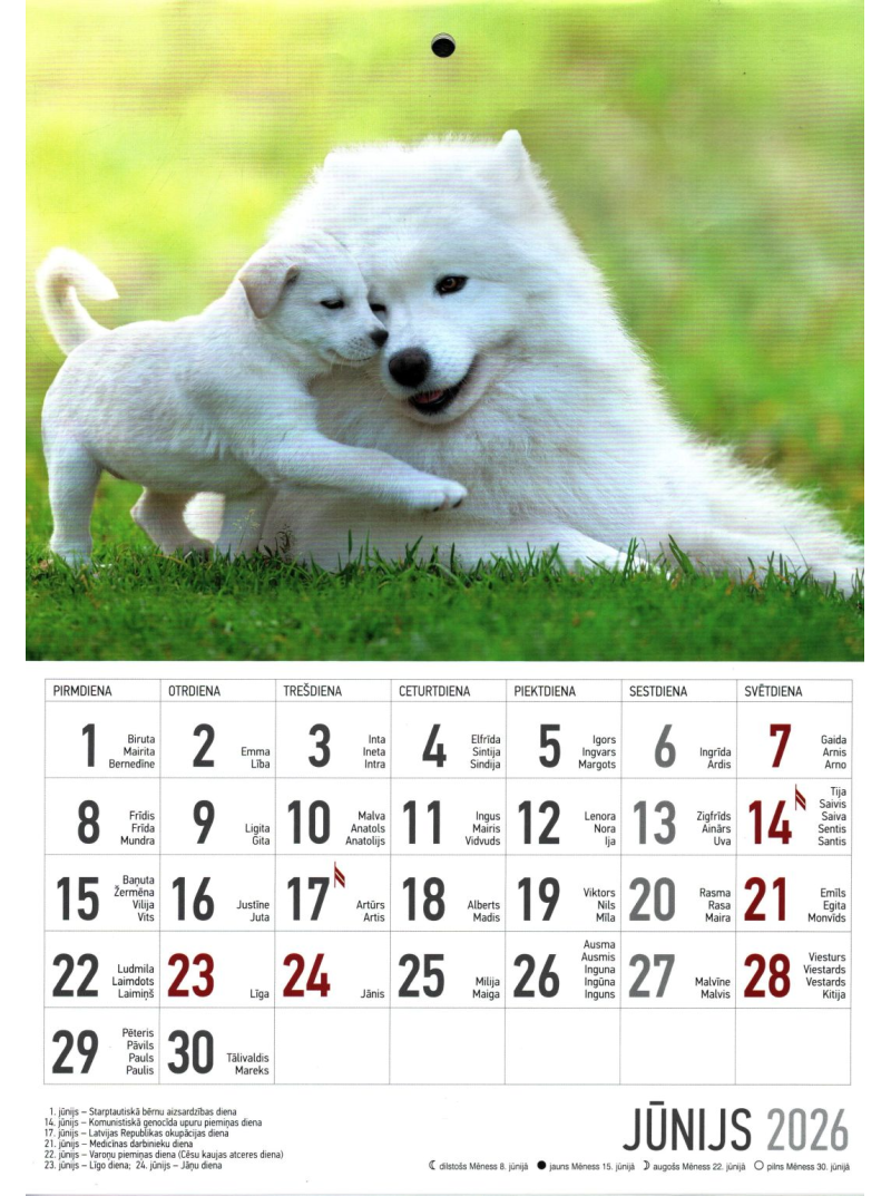 Kal. A4 Suņi1{IMAGE}