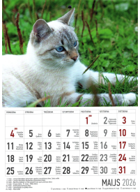 Kal. A4 Kaķi2{IMAGE}