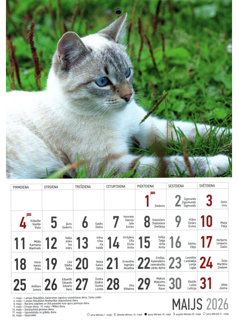 Kal. A4 Kaķi1{IMAGE}