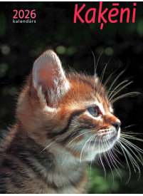 Kal. A4 Kaķēni1{IMAGE}